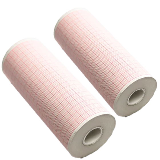 LIFEPAK ECG Paper for LP1000, LP12, LP15 (2 Rolls) 11240000032