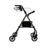 Aspire flex adjustable seat walker