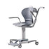 Healthweigh Chair Scales
