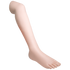 Demo Leg Paediatric