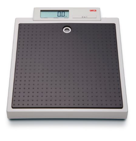 Seca 876 flat scales