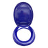 BetterLiving Cognitive Assistance Toilet Seat