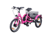 Hop Trike